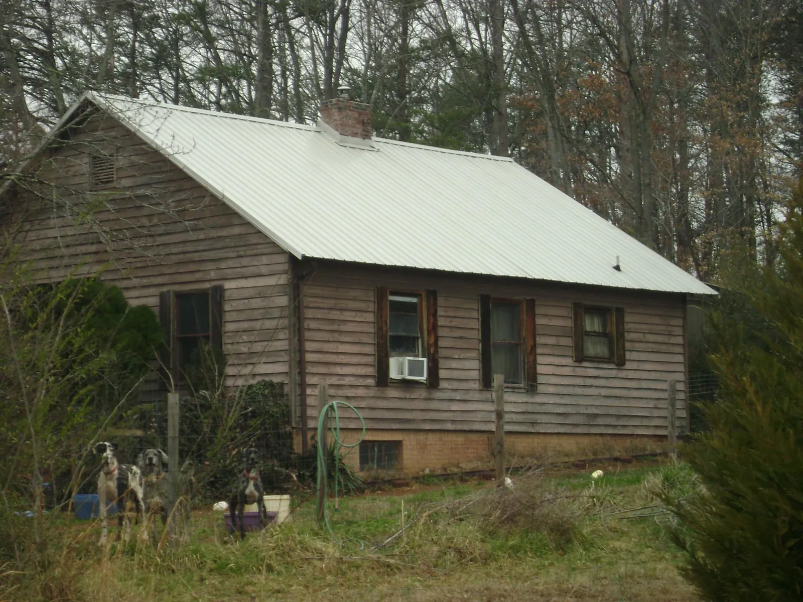 White metal roof on an old wood sided farmhouse, from a Asphalt Shingle Roof Repair job in Sale Creek